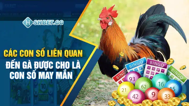 Điềm Báo Mơ Thấy Gà & Bộ Số Phong Thủy Đổi Mệnh 5 Các con số liên quan đến gà được cho là con số may mắn